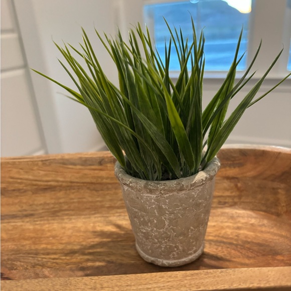 🪴🦋 Rustic Green Faux Plant in Distressed Pot - Picture 2 of 2